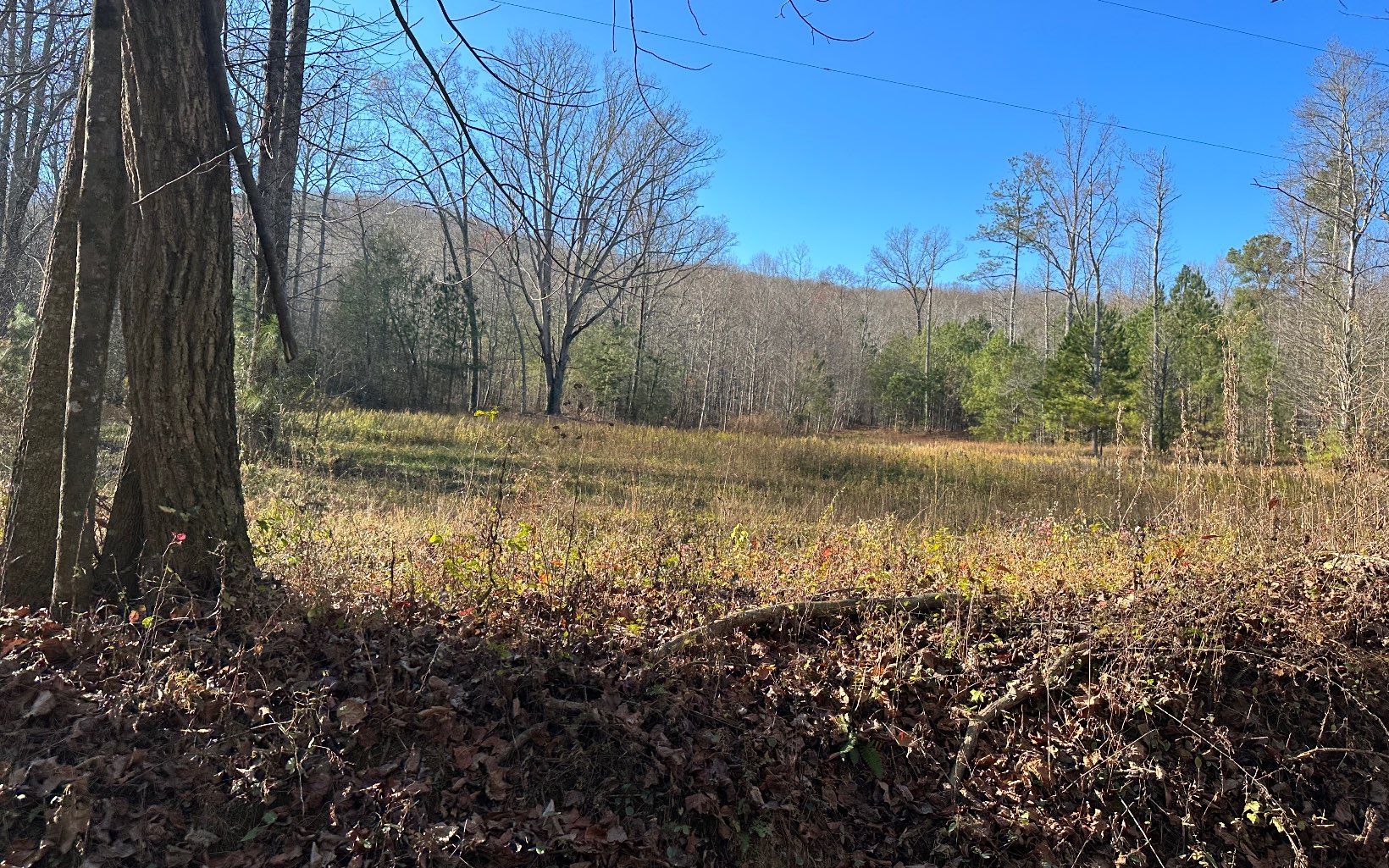 751 Kennemur Road