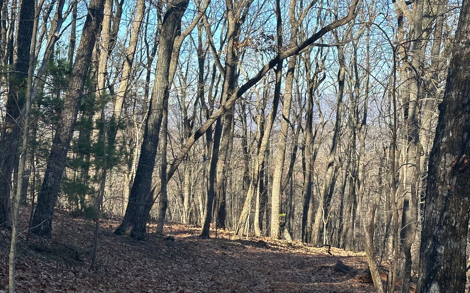 751 Kennemur Road