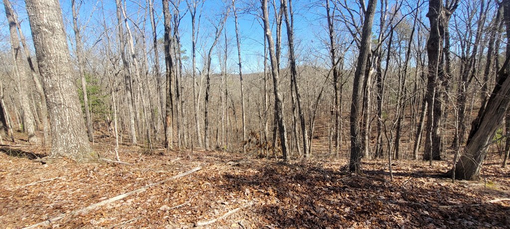 20 acres Mountain Glen Lane