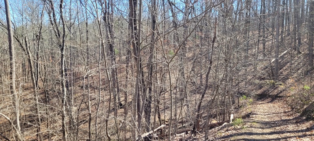 20 acres Mountain Glen Lane