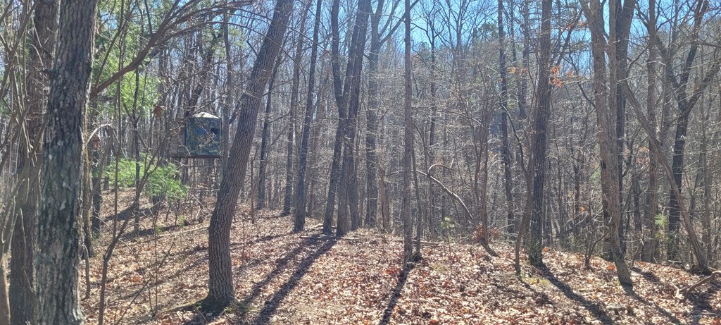 20 acres Mountain Glen Lane