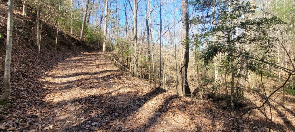 20 acres Mountain Glen Lane