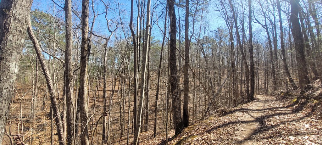20 acres Mountain Glen Lane