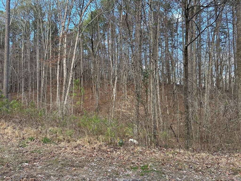 20 acres Mountain Glen Lane