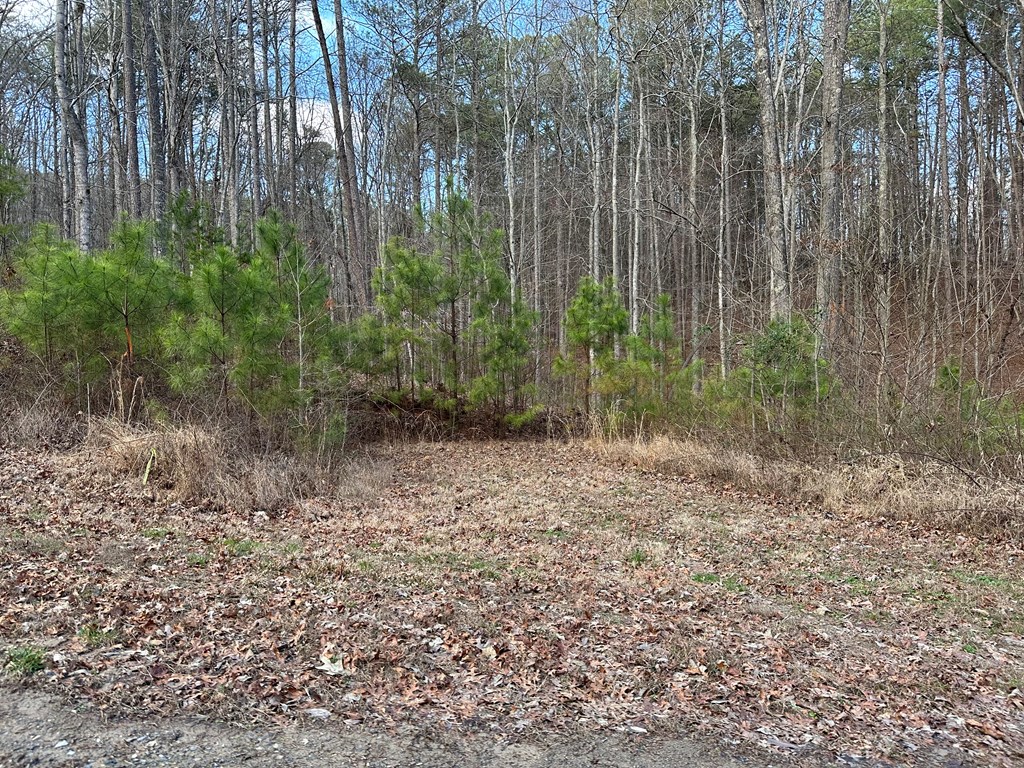 20 acres Mountain Glen Lane