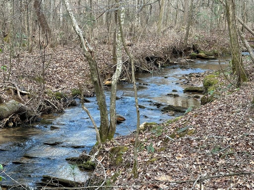 20 acres Mountain Glen Lane