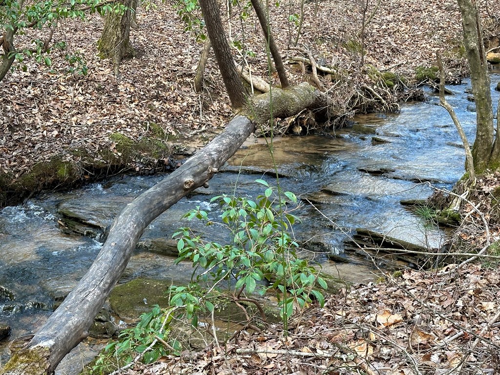 20 acres Mountain Glen Lane