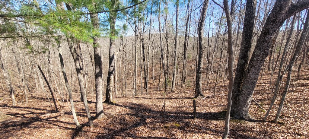 20 acres Mountain Glen Lane