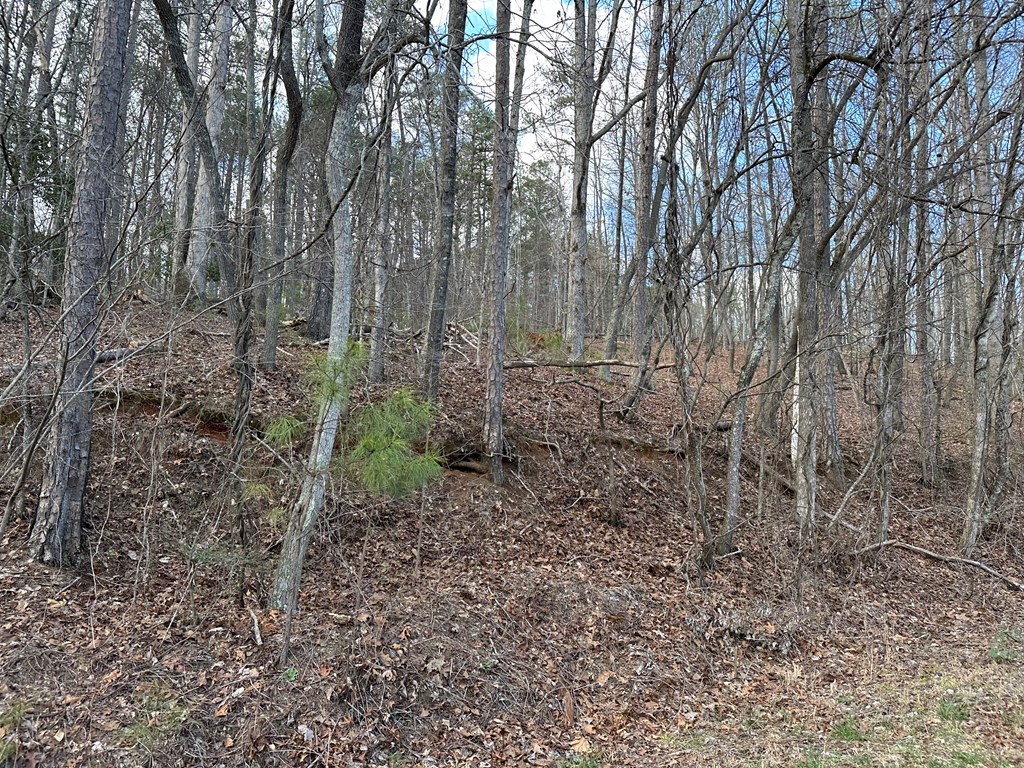 20 acres Mountain Glen Lane