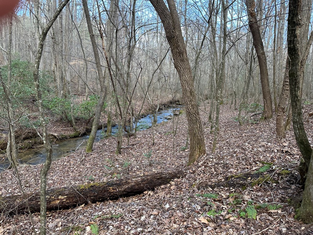 20 acres Mountain Glen Lane