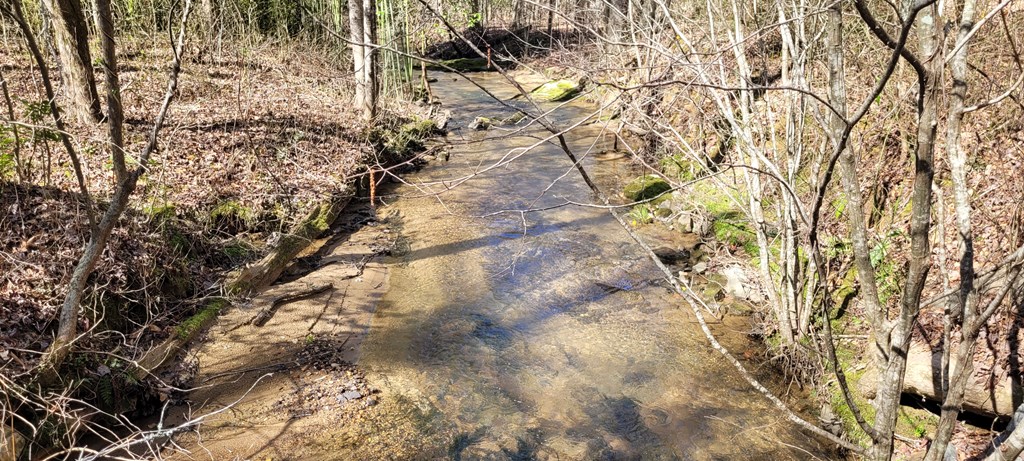 20 acres Mountain Glen Lane