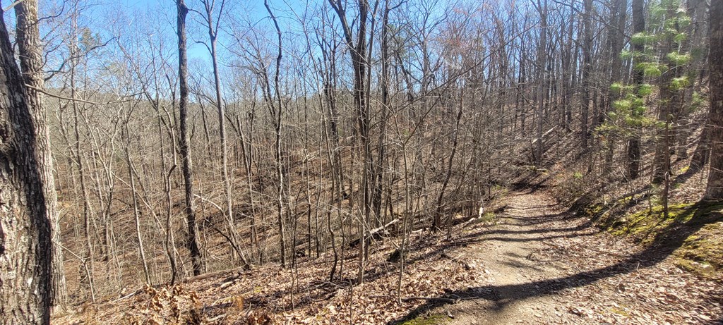 20 acres Mountain Glen Lane