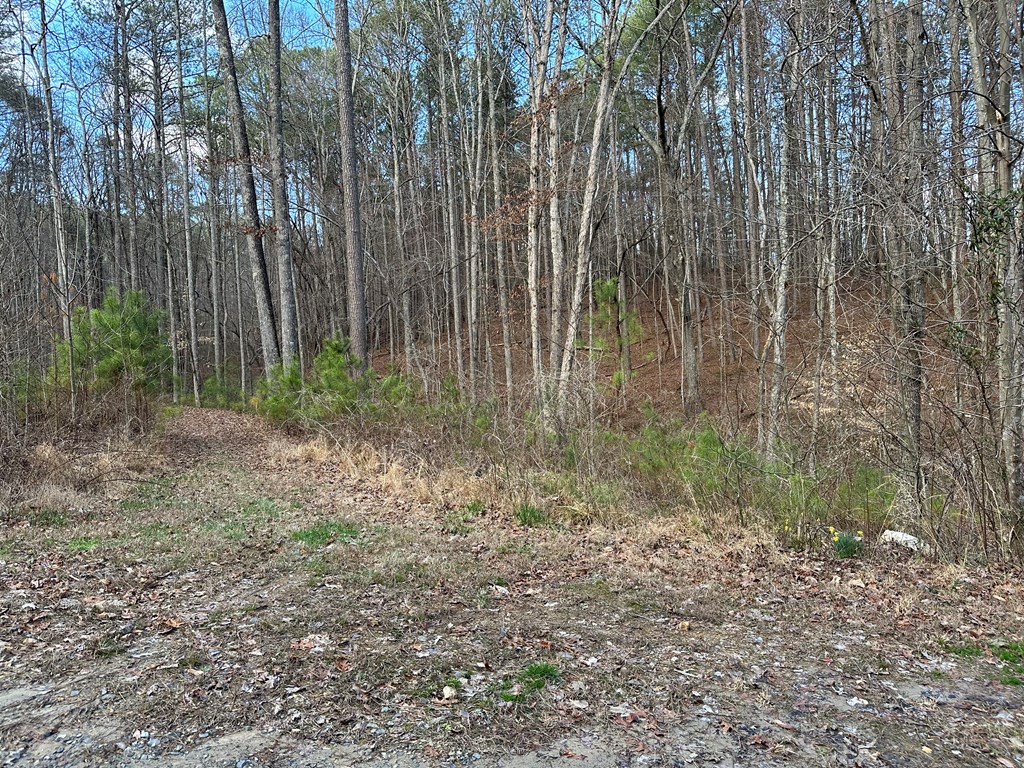20 acres Mountain Glen Lane