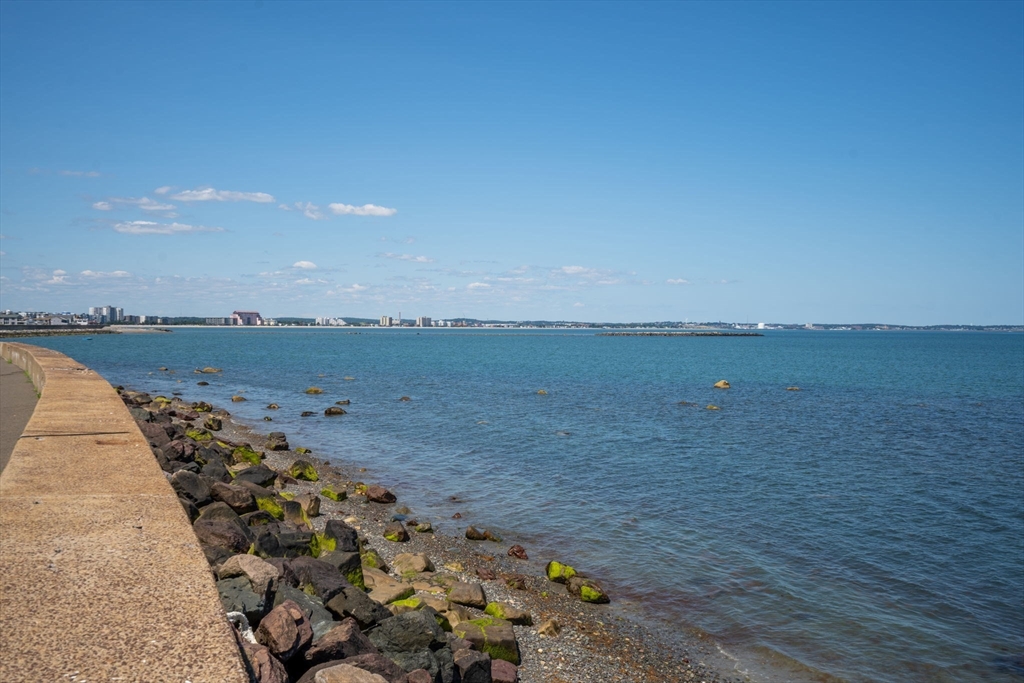 284 Endicott Ave # 3