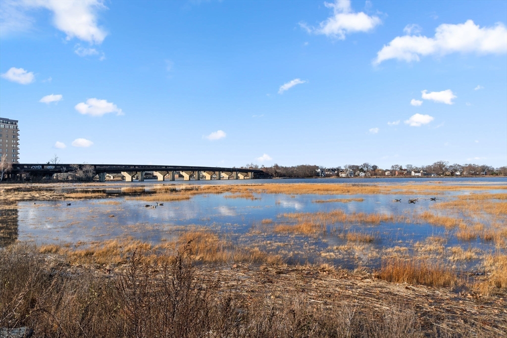 90 Quincy Shore Drive Unit: 115