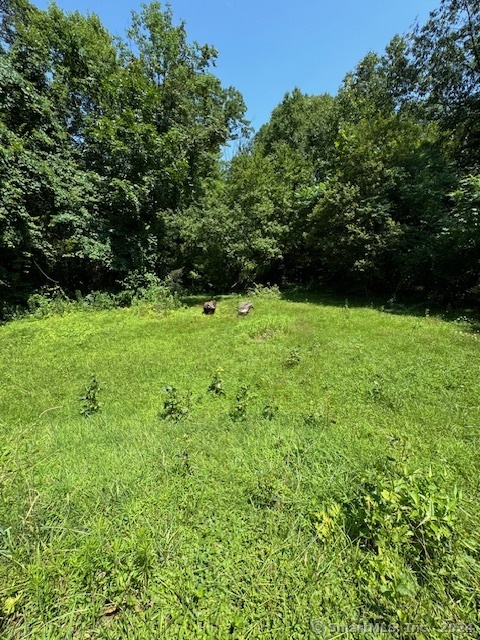 79 Punch Brook Road