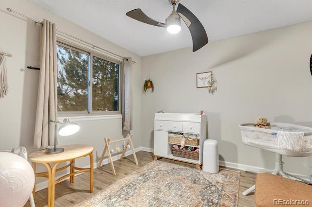 13363 Cherry Court