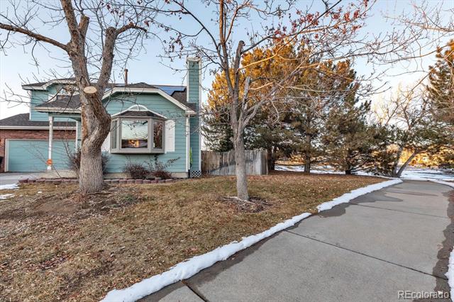 13363 Cherry Court
