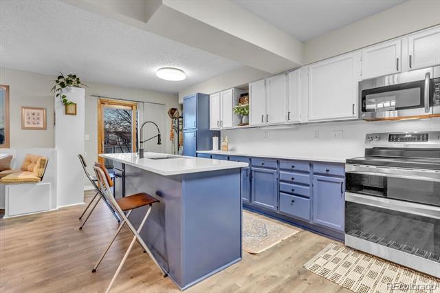 13363 Cherry Court