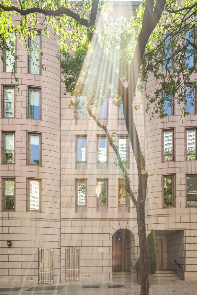 238 E 67TH Street TH