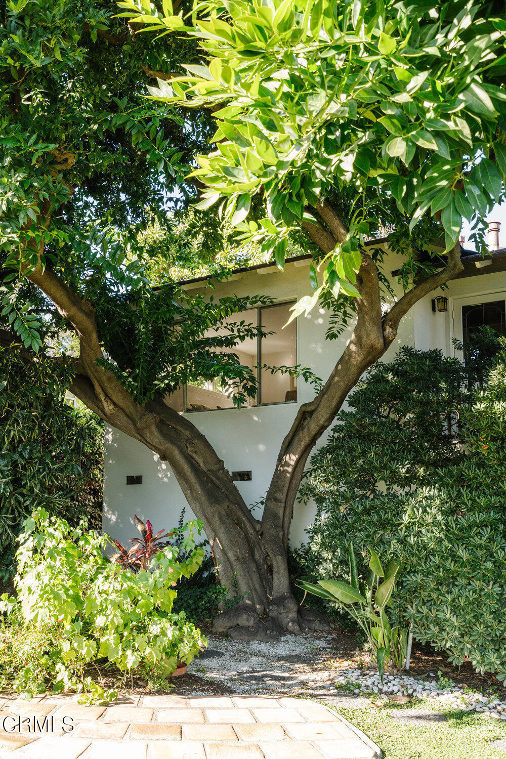 1800 Alta Wood Drive