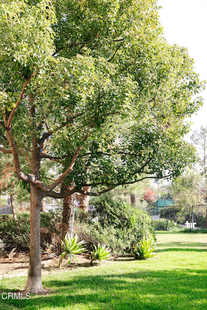 2753 Waverly Drive 302