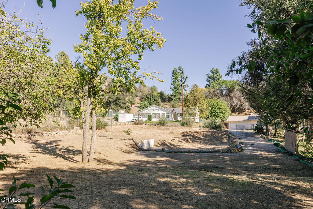 3805 Alzada Road