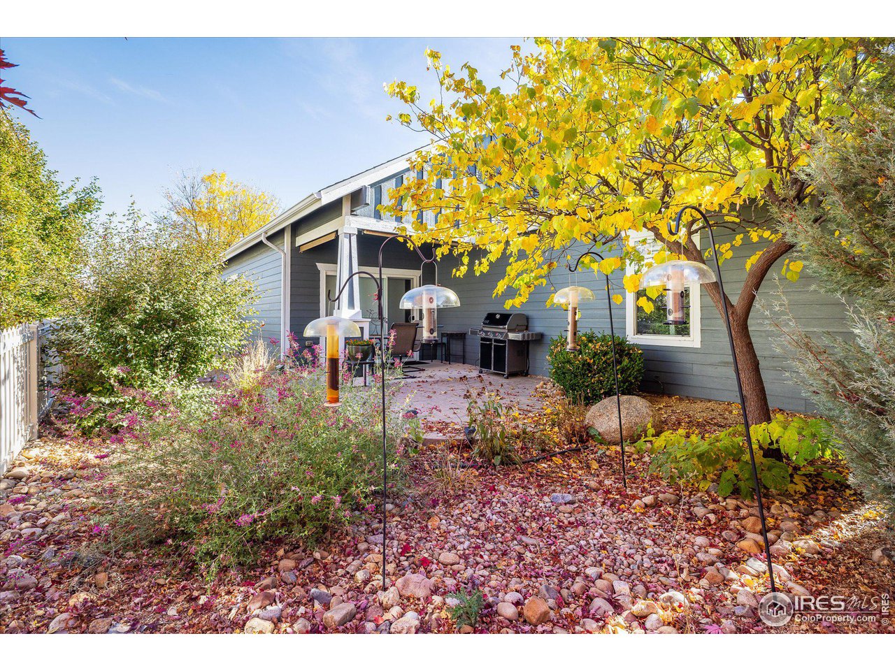 1403 Bluemoon Dr