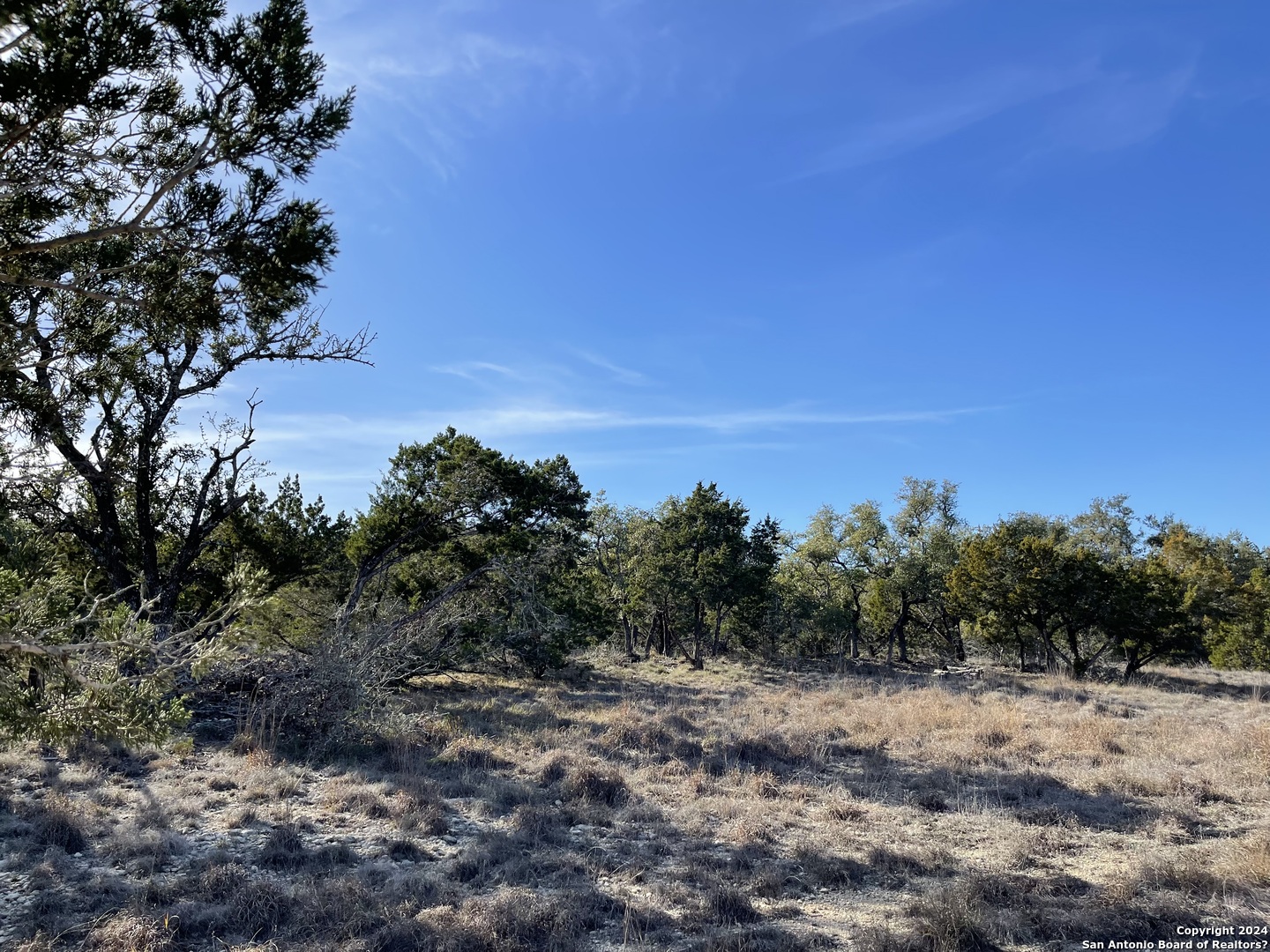 544 CANYON ROCK