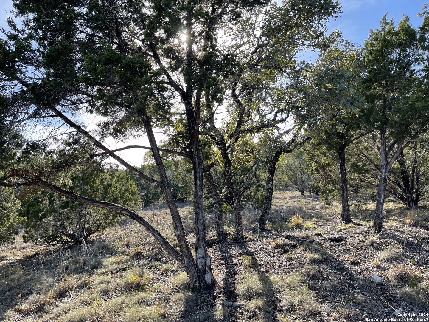 544 CANYON ROCK