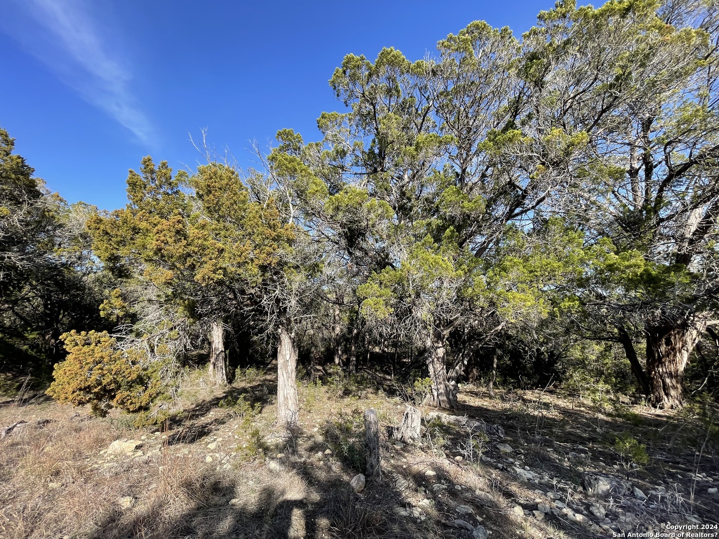 544 CANYON ROCK