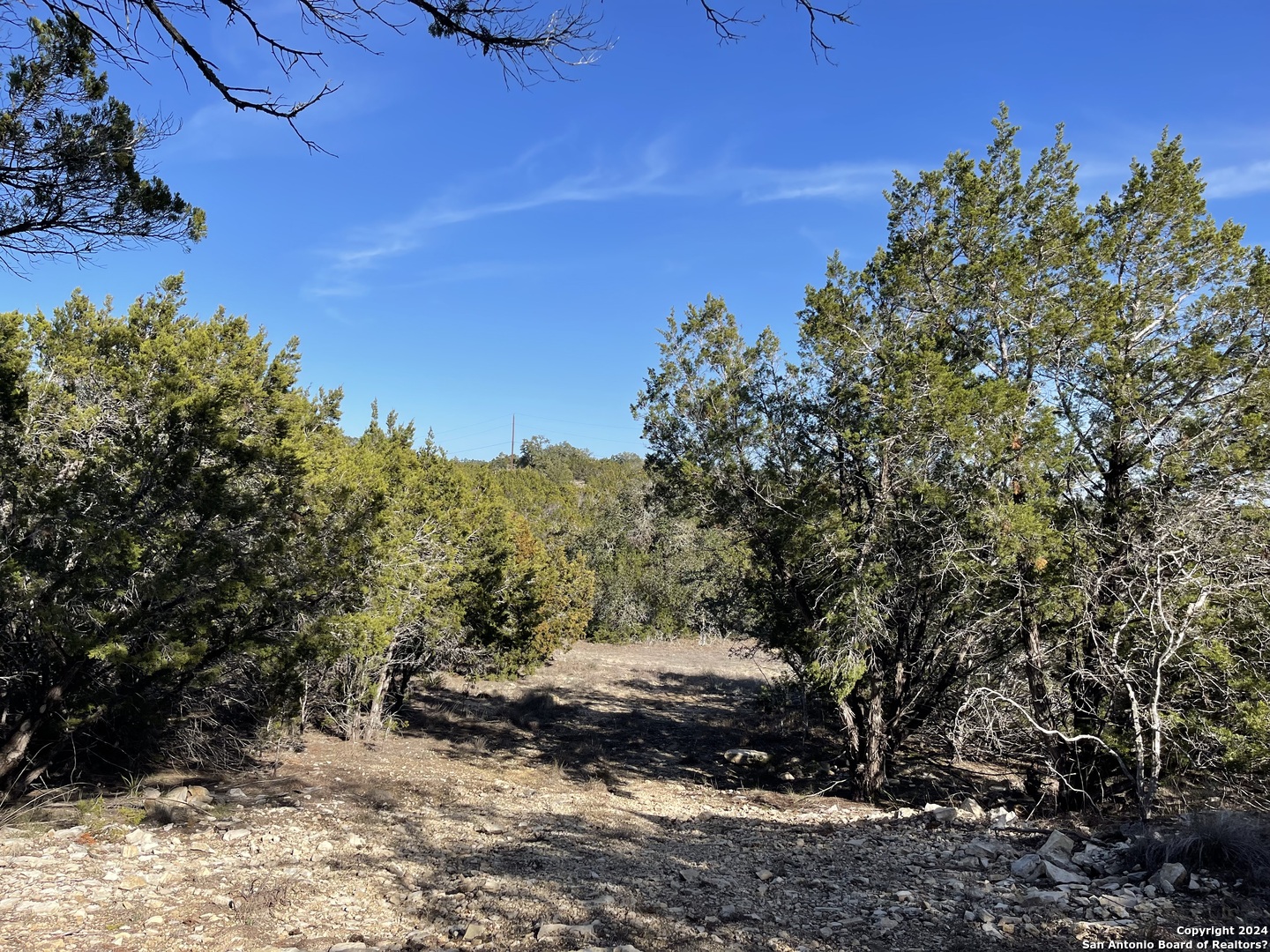 544 CANYON ROCK