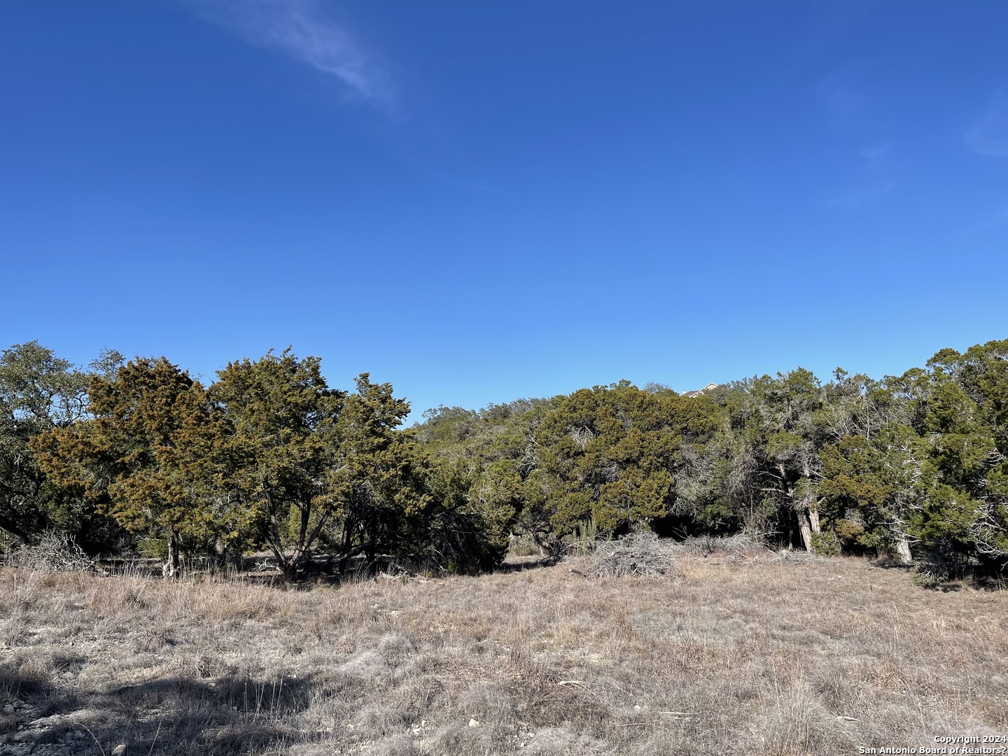 544 CANYON ROCK