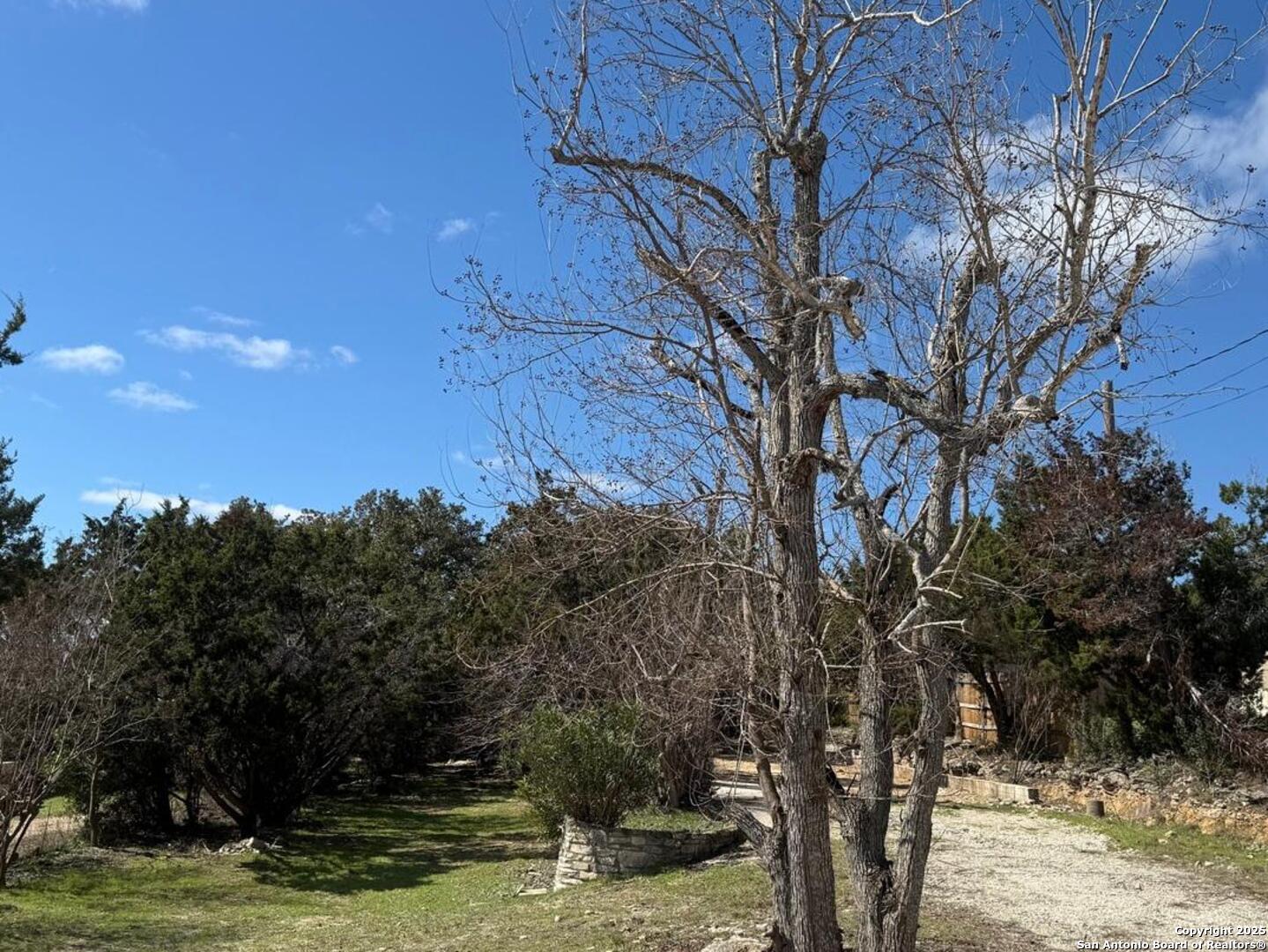 1800 Live Oak