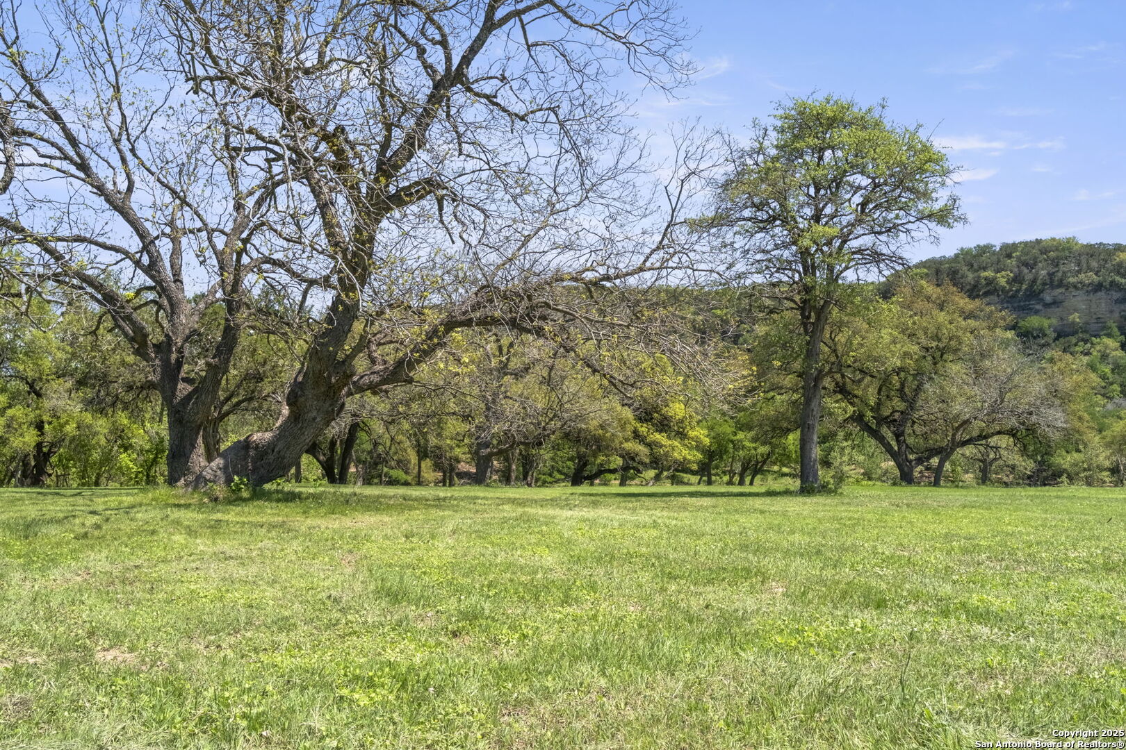 829 Bingham Lane
