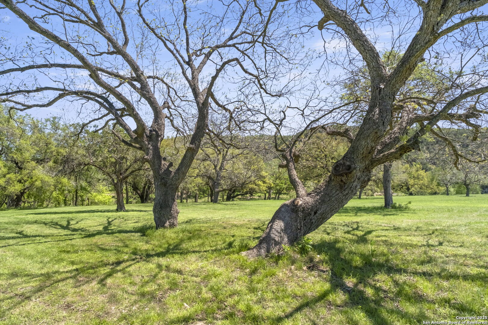829 Bingham Lane