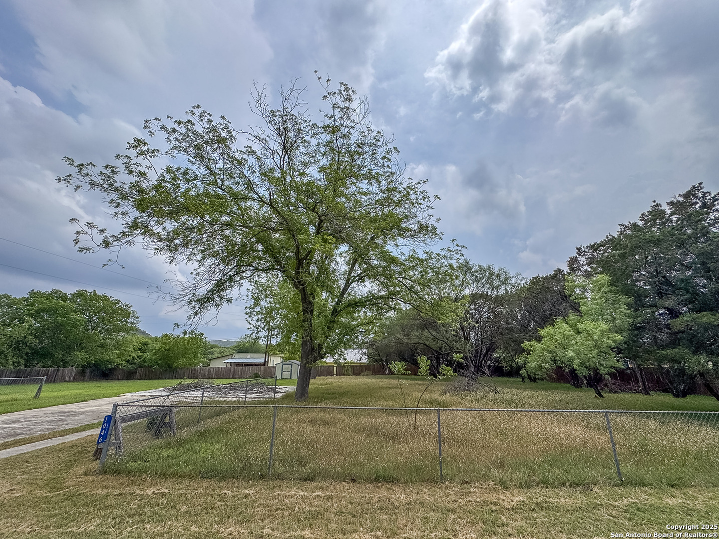 1046 Peach Tree