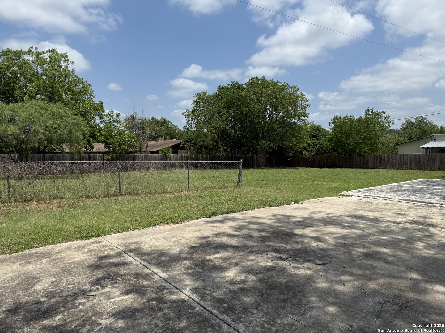 1046 Peach Tree