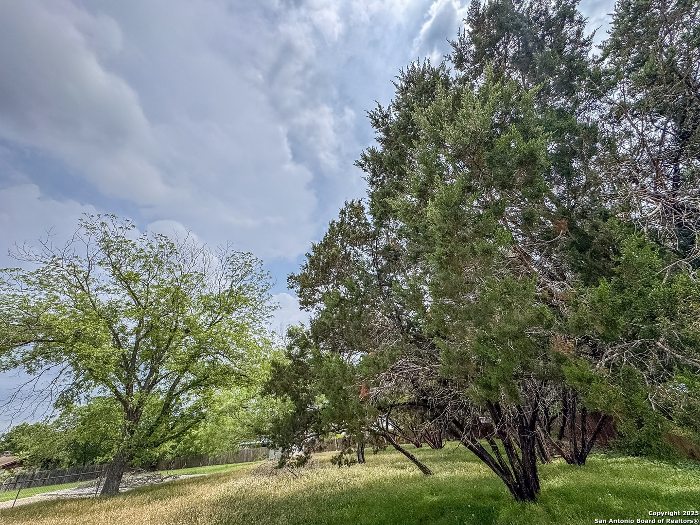 1046 Peach Tree