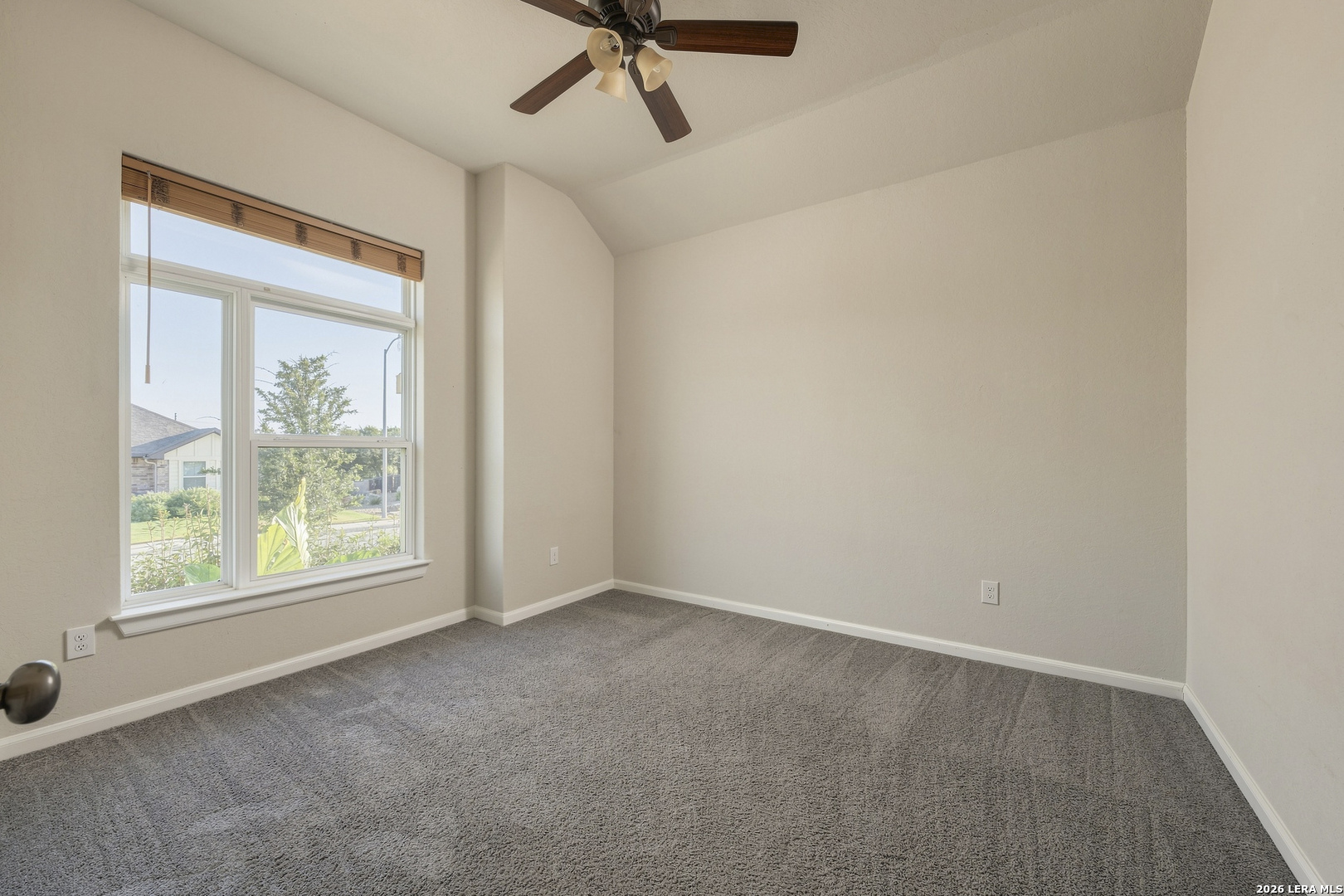 5334 Black Walnut