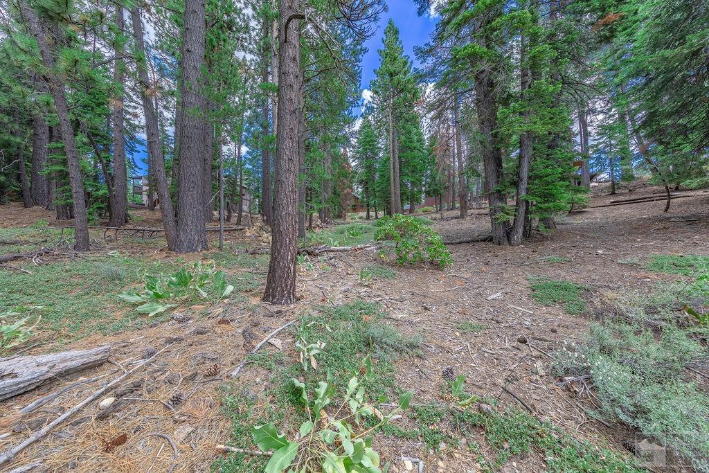 1801 Meadow Vale Drive