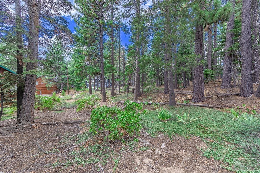 1801 Meadow Vale Drive