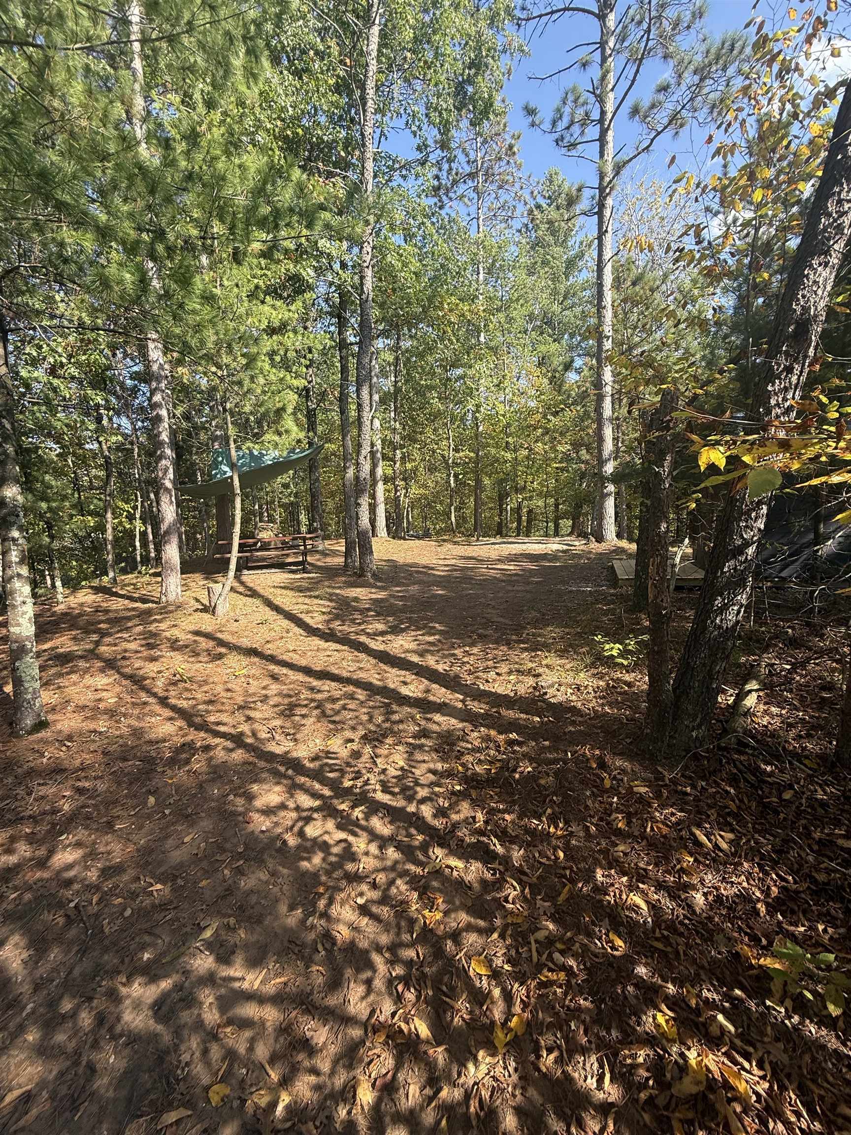 DUTCH RUSH RUN Road Unit: 5