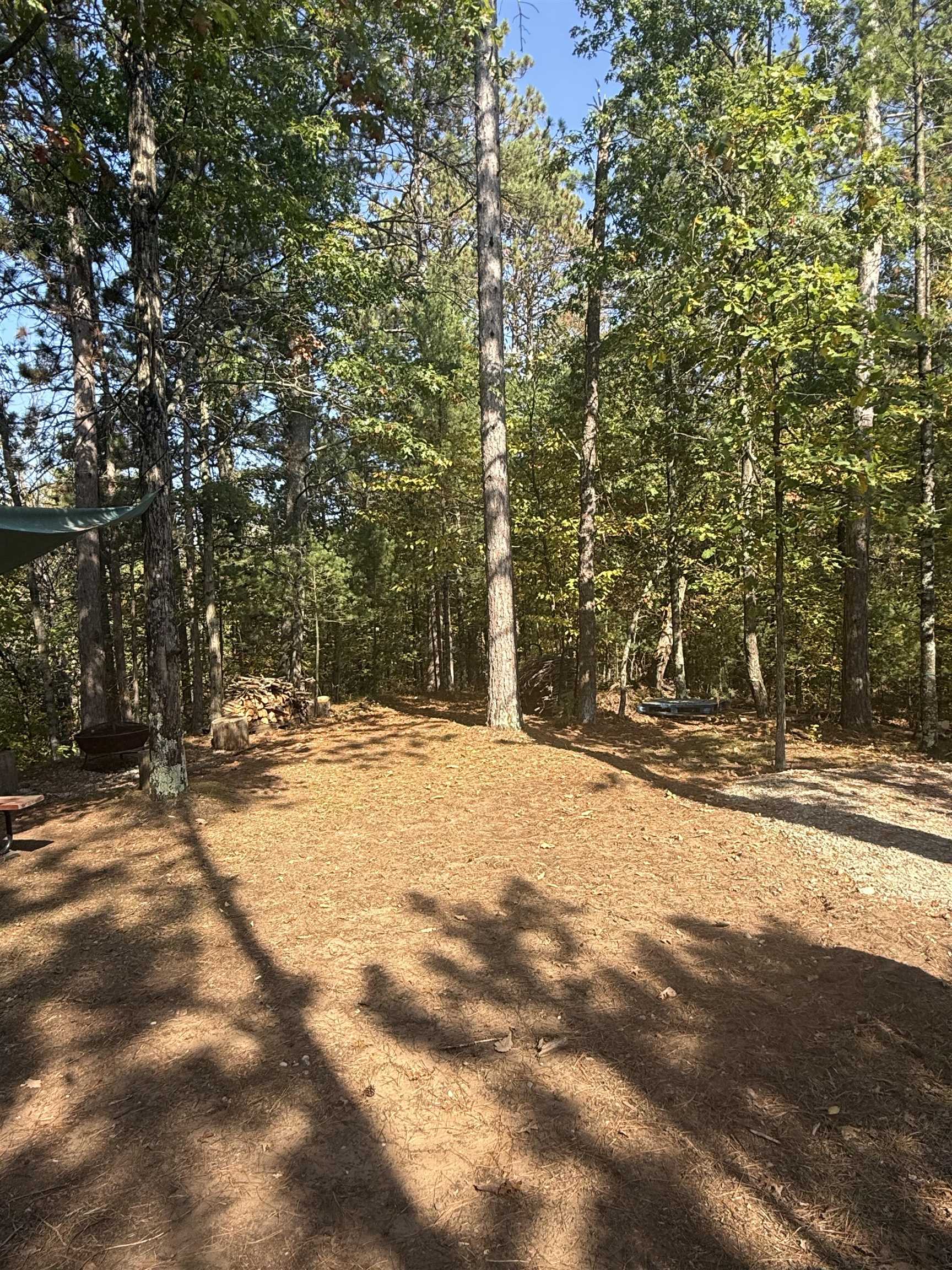 DUTCH RUSH RUN Road Unit: 5