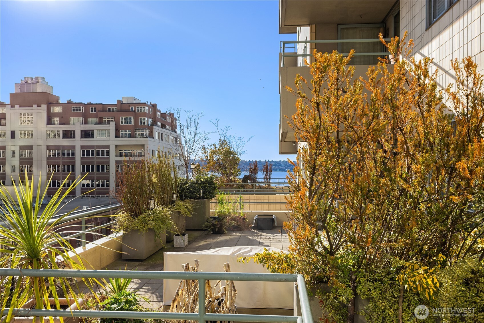 1107 1st Avenue Unit: 602