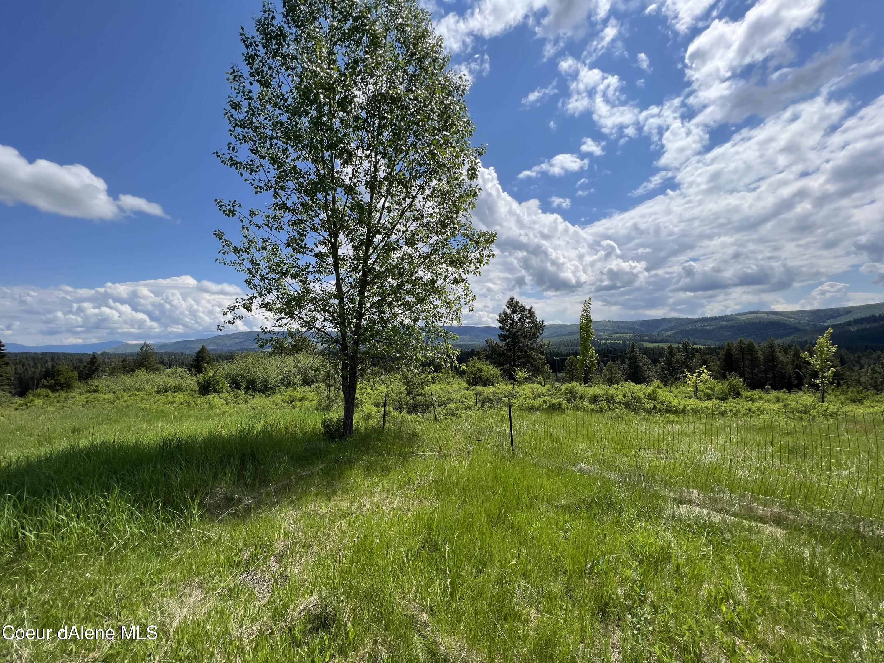 830 Whitetail Draw Rd, St. Maries