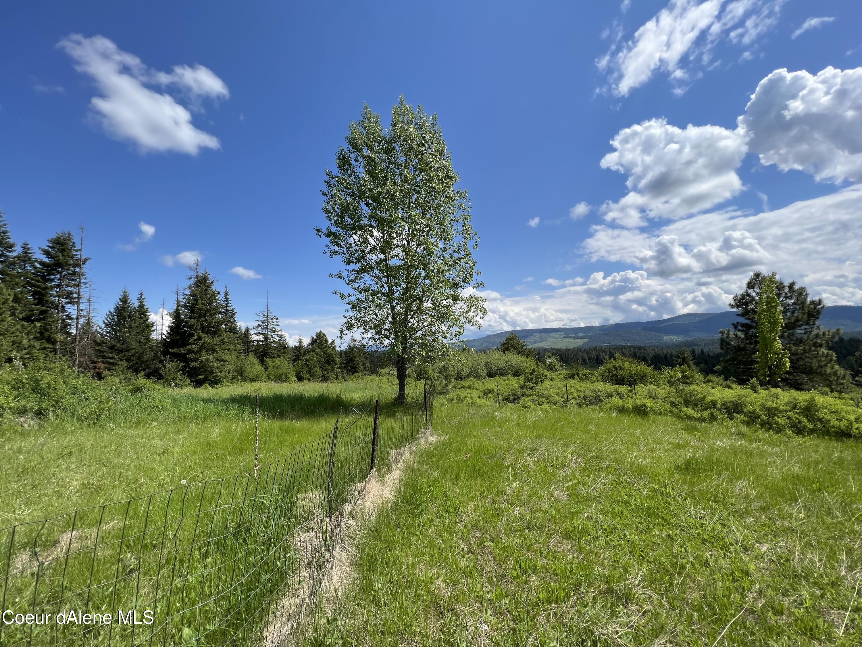 830 Whitetail Draw Rd, St. Maries