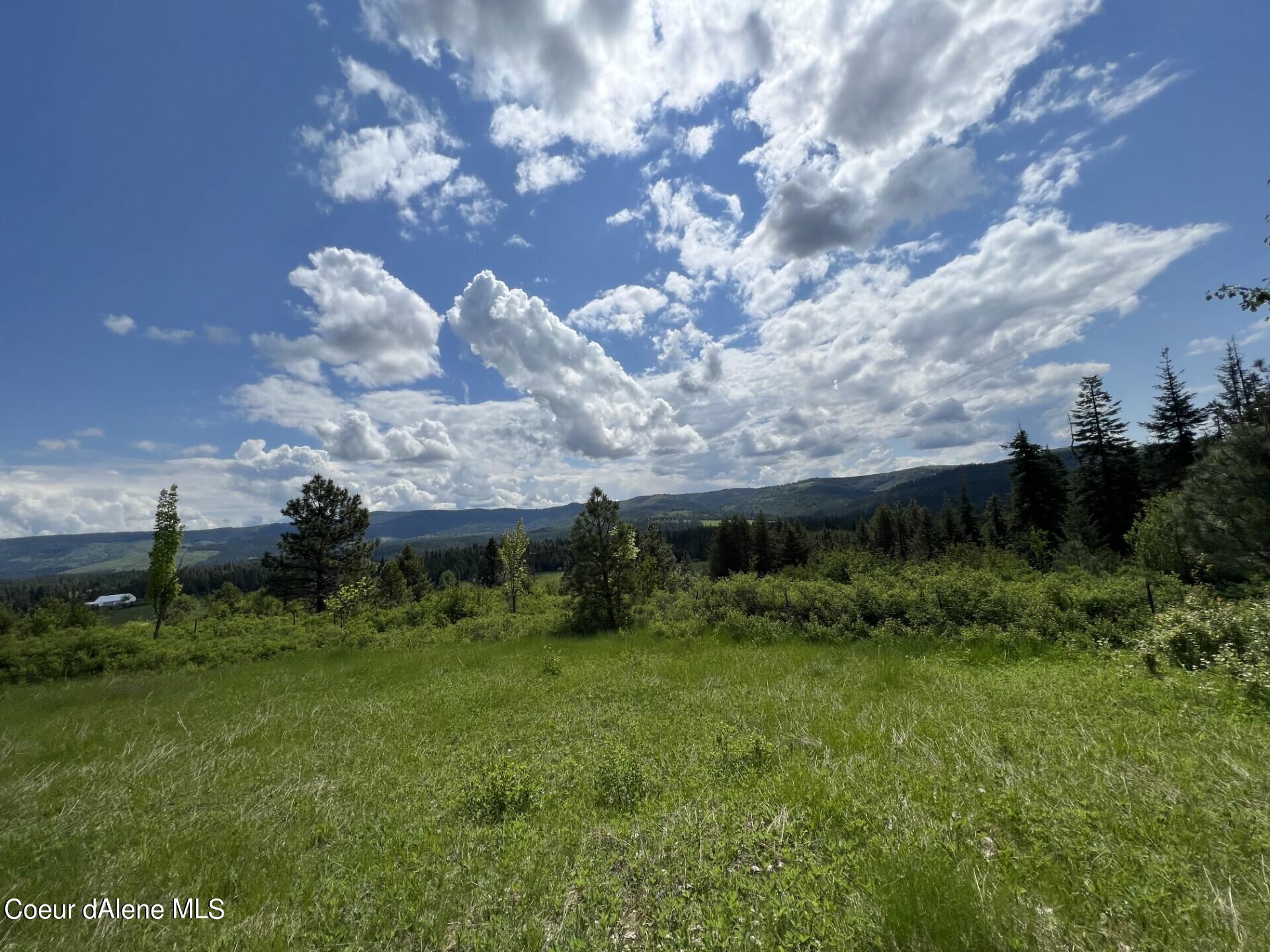 830 Whitetail Draw Rd, St. Maries