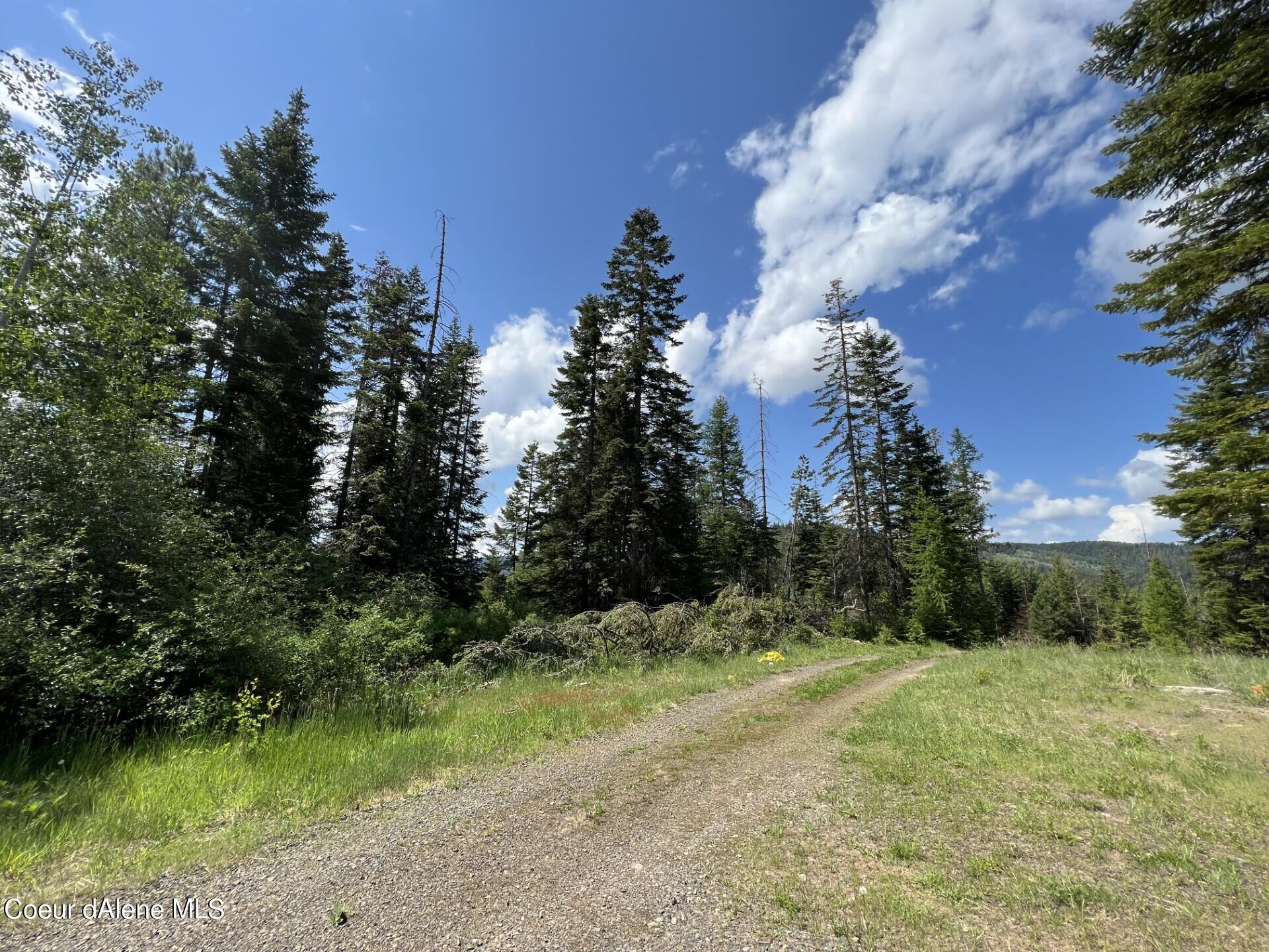 830 Whitetail Draw Rd, St. Maries