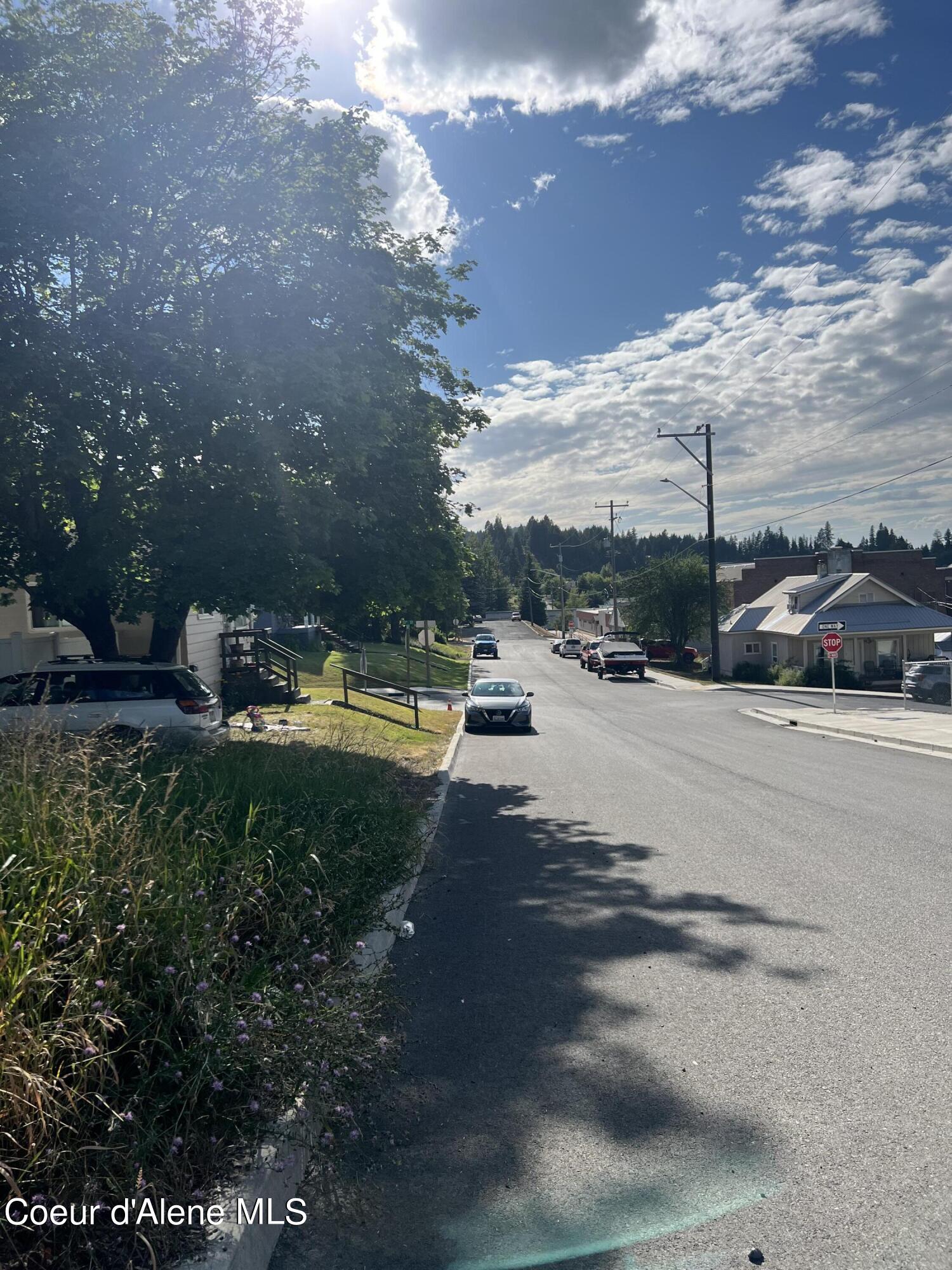 1221 College Ave, St. Maries